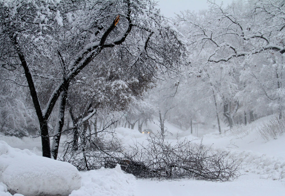 020115-snowstorm04